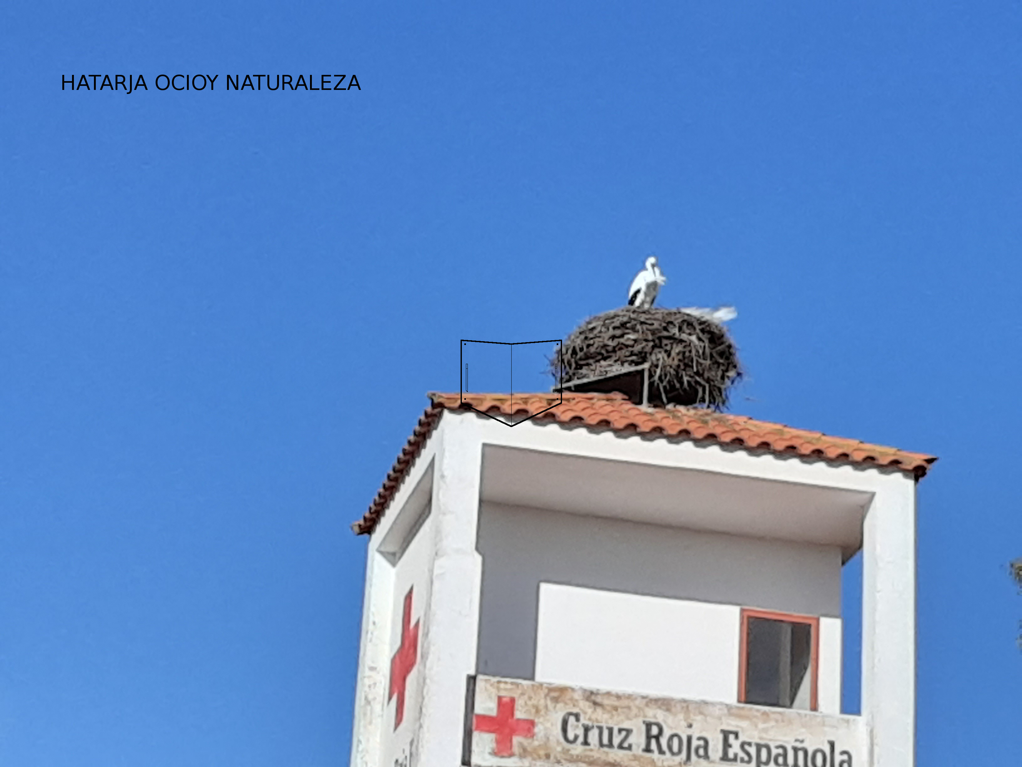 Nido de ciguea en Cruz Roja